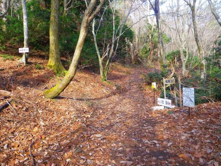 分岐である藤川谷道出会に到着。とりあえず日本コバの山頂を目指すので左へ。ここから一旦下りになる