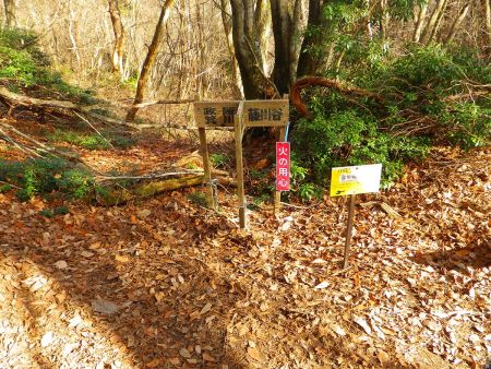 藤川谷道出会の分岐。下山は政所へ向かうのでこのまま道標に従って政所方面へ進む