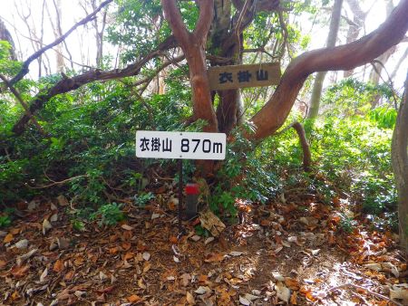 途中にあった衣掛山の山頂(870m)に到着。山頂というより途中のピークって感じだったけどね