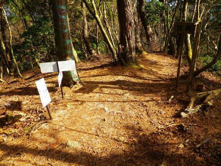 ここで分岐。先日、天狗堂に登った帰りに登ろうとした箕川からのルートはここに出てくるわけね