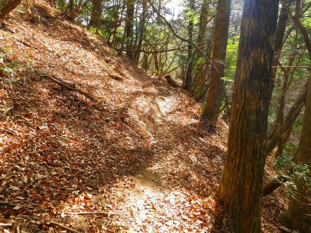 政所への下りの序盤は尾根をトラバースする感じで標高が全然下がらない