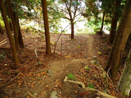やっと登山道の終わりが見えた