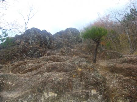この岩場の上はいつもの休憩場所