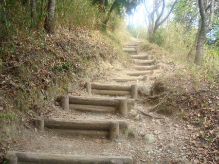 この階段が一旦最後になる