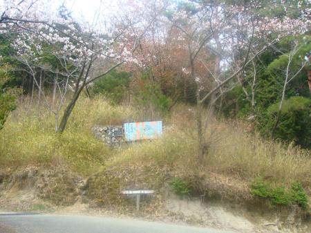 ここから舗装道