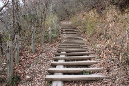 先に雄岳山頂へ登る。ひたすら階段の道が続く