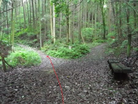 ここで分岐だけど６合目は左にいく。右にいくと直登ルートになるのかな！？