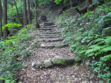 ここから沢筋を離れて階段が続けど、距離的には登りはそんなにないはず
