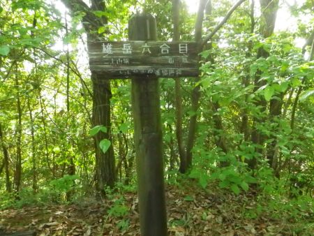 雄岳六合目の看板があったけど、どこから一合目なんだろうか！？標高的にはまだ半分ちょっと過ぎくらいかな