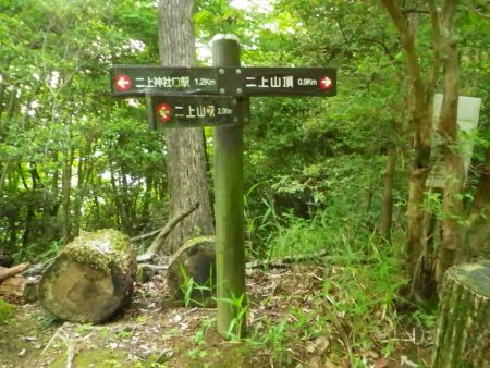 二上山頂まで0.9kmとあるけど、標高から考えるとこの距離は今までより時間がかかると思う1