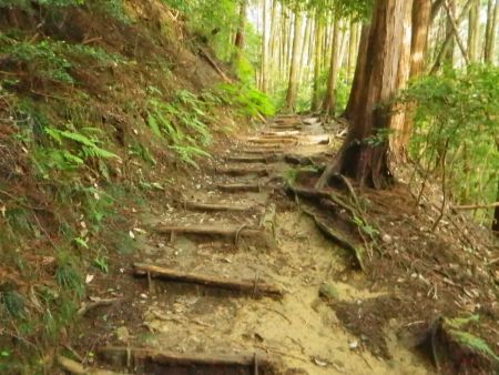 ひたすら階段が続くけど急登ではないのでよかった。軽装で登ってるけどタオルと水分はちゃんと持ってきている