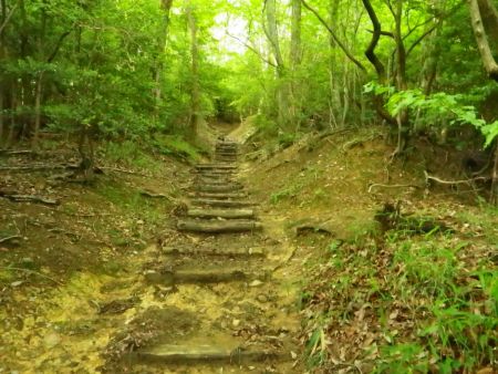 しつこいくらい階段が続く。汗がでまくって、なんどか立ち止まってはタオルで顔を拭いた