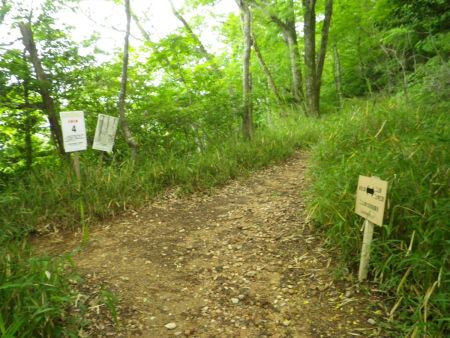 ここでさらに登山道と合流。この４番の看板のところまで登れば山頂はすぐそこだったりする