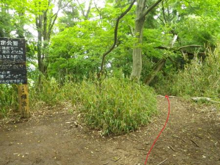 今回は雄岳の看板横から下ることにした。もう少し散策すれば展望地があるみたいだけどショボイのでさっさとここから下ることにした