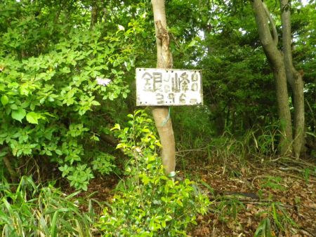 途中のピークにあった銀峰(396m)に到着。ここはピークというより登山道の途中って感じもするけどね