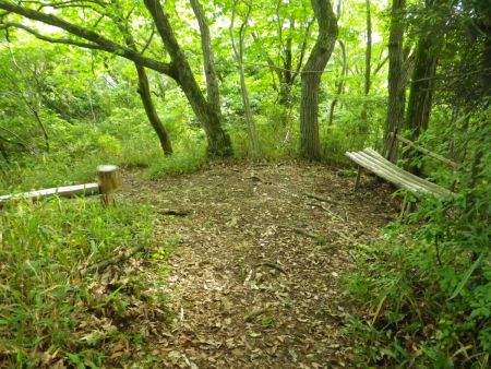 下りの登山道にはところどころにベンチが設置されている。そんなにしんどい登りでもなさそうだけどね
