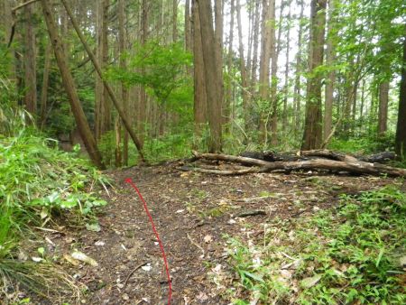 ここで分岐。烏岳はここを直進というか左のほうへ行く