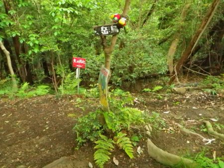 さらに分岐で烏岳の道標プレートがでてきた。キョロちゃんの人形があるけど誰が設置したんだろう？ここを道標に従ってここを右へ