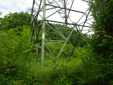 烏岳の手前にある鉄塔。ここからも展望があったみたいだけど、今は草が生えてほとんど何も見えなかった