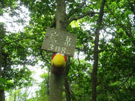 このキョロちゃん人形は今は入手困難じゃないのかな！？いくら中古でも数百円では買えないと思うんだけどね