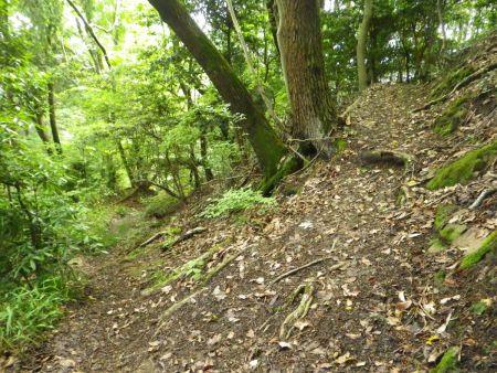 ここで分岐だけど方角的には左側を下っていくのが正解。右でも戻れないことはなさそうなんだけどね