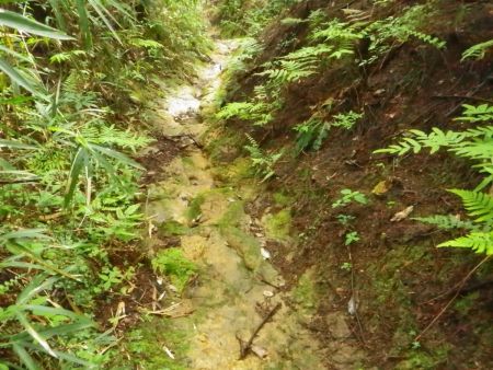 雨続きで岩場が湿っていて、下りは特にツルツル滑りやすいのが嫌な感じ。ここは慎重に下ることにした