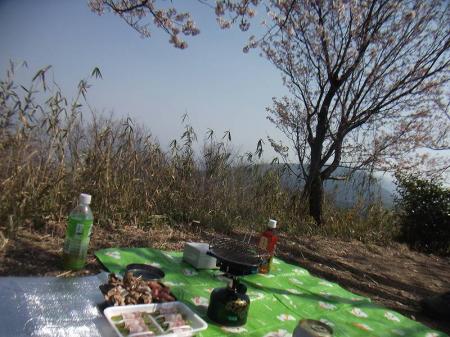 山頂で花見をする。本当はビールとか飲みたかったけど車の運転があるし無理だった