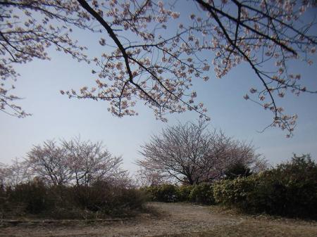 人がいないところを見計らって山頂の雰囲気を撮影