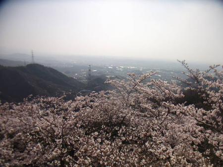 少し霞んでるけど大阪平野の南河内のほうが一望できる