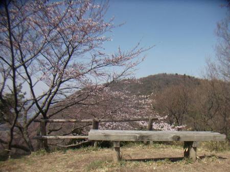 雄岳方面。雄岳はいつも用事がないので行ってないけど、向こうは桜がないのね