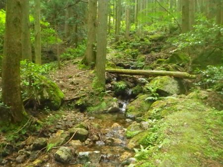 沢筋をひたすら登っていく。この橋は信用できないので直接沢を渡ることにした