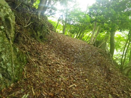 さて、御嶽方面へ登っていくが、つづら折れになっていながらも急登が続く。しかも落ち葉などでかなり登りにくかった