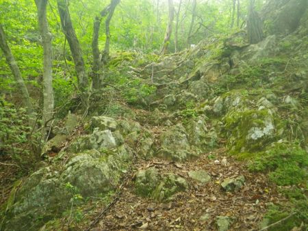 ここから鎖場の連続になるが、ストックが邪魔になると思ったけど、ほとんど鎖を持たなくても登ることができた