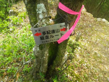 ここから多紀連山の縦走ルートになる。多紀連山もある程度は全山登りたいね