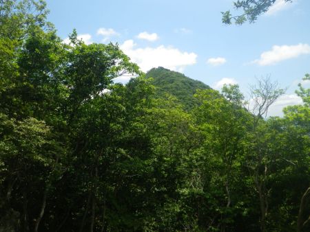 展望が良さそうな岩場があったのでまずは少しだけ御嶽のほうに向かって登ることにした