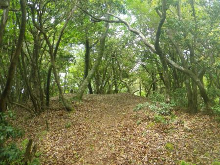 一つ目のピークへ登ったけど何もなく、またここから登った分を下らされるんだよね。せっかく登ったのにまた下って登るって気分的に損した感じになる