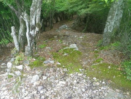 さて、十分に休憩はしたので下っていくことにした。もちろん今回はピストンではなく周回。ピストンはさすがに嫌だね