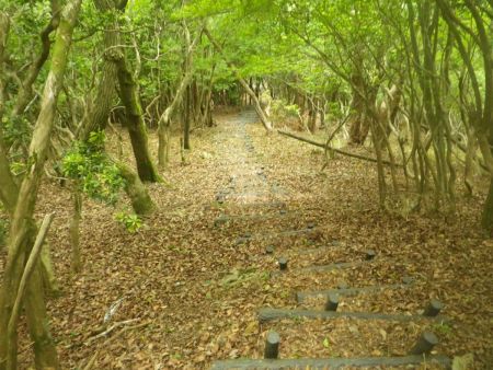 これは膝が笑いそうな長い階段の下りになっている。ここから階段の下りがひたすら続くことを後で知らされる