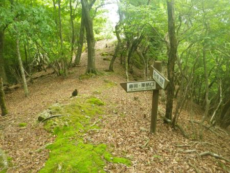 ここで栗柄口へ下るので左へ曲がる。国土地理院地図では直進してもルートがあるような破線はあったけど、この先にルートはない