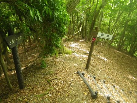 さらに分岐で栗柄方面なので道標に従って右に下る。直進すると矢代とかいう場所に下るみたいだね