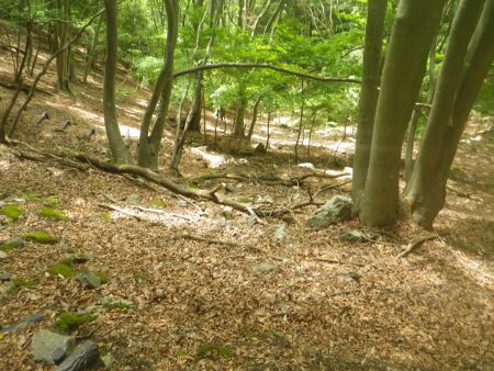 写真では伝わりにくいけど、すごい谷の下りになっていた。しかも全部階段になっている。本当に膝が笑いそうな感じだった