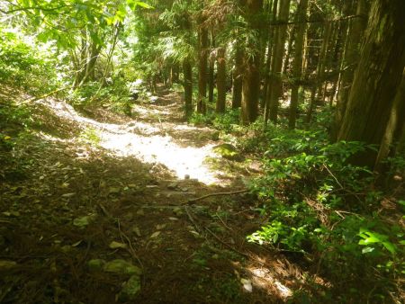 沢筋の下りになってもひたすら階段が続く。もう階段は勘弁してほしいけど、こっちルートから登ったほうが楽だったように思える