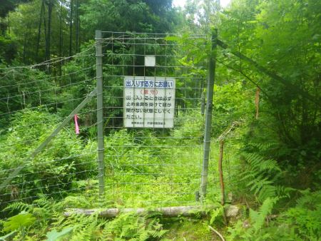 こっちルートにも獣除けの柵があった。ちゃんと金具も含めて開け閉めはしておいた