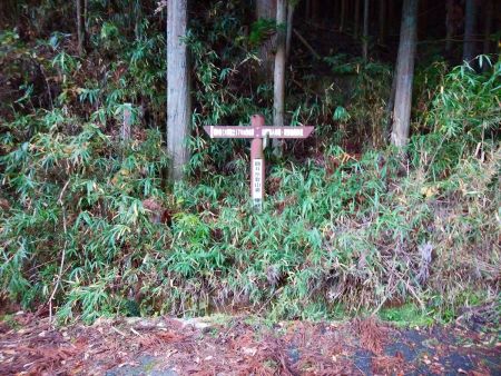 ここでちょっとだけ舗装道に出る。道標がしっかりあるので従って左の大和富士のほうへ行く