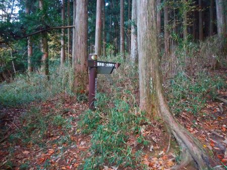 ここも道標通り右へ行く。人はいないのに道標はしっかりあるのね