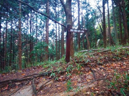 尾根に出てあと0.3kmと表示されているけど、この0.3kmが意外と長かった