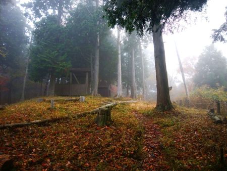 山頂はガスっていた。この後ガスははけたみたいだけど、展望はないからいいや