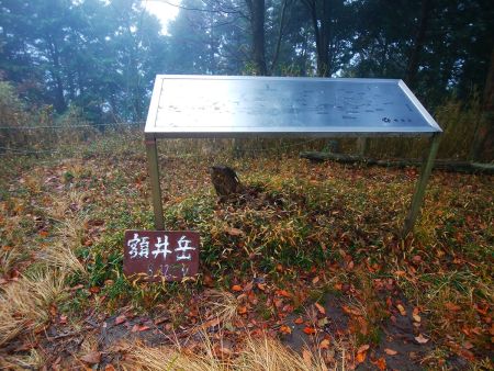 昔はここから展望があったんだと思われるけど、今は樹林が生えて見えない