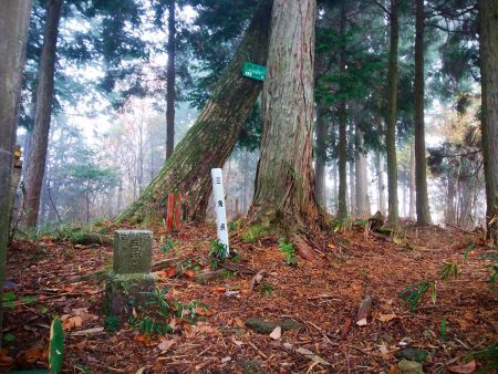 額井岳(812.3m)の山頂と三角点