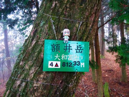 せっかくなので雪村あおいちゃんと山頂プレートを撮影しておいた